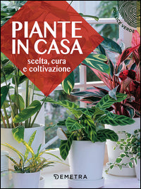 Piante in casa - scelta cura e coltivazione 