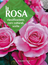 Rosa - classificazione cure colturali scelta 