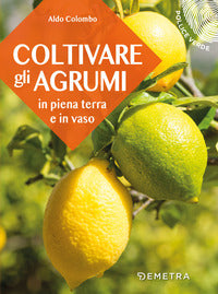 Coltivare gli agrumi in piena terra e in vaso 