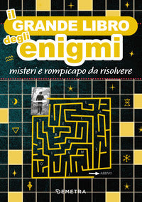 Grande libro degli enigmi - misteri e rompicapo da risolvere 