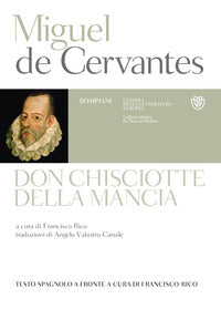 Don chisciotte della mancia 