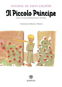 Piccolo principe 