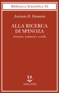Alla ricerca di spinoza 
