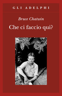 Che ci faccio qui ? 