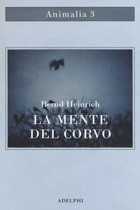 Mente del corvo 