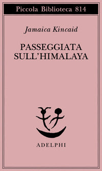 Passeggiata sull'himalaya 