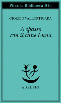 A spasso con il cane luna 