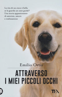 Attraverso i miei piccoli occhi 