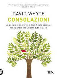 Consolazioni - la poesia il conforto il significato nascosti nelle parole che usiamo tutti i 