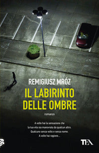 Labirinto delle ombre 