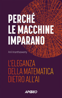 Perche' le macchine imparano - l'eleganza della matematica dietro all'ai 
