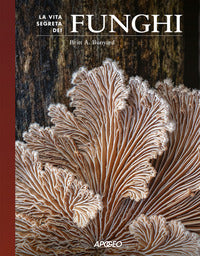 Vita segreta dei funghi 