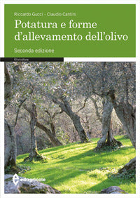Potatura e forme di allevamento dell'olivo 