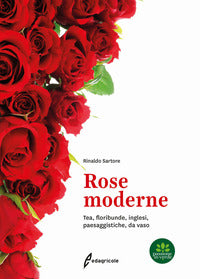 Rose moderne - tea floribunde inglesi paesaggistiche da vaso 
