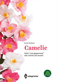 Camelie - dalla rosa giapponese alle cultivar piu' recenti 