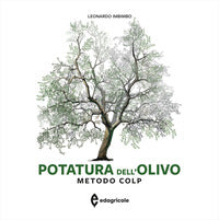 Potatura dell'olivo - metodo colp 