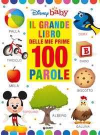Grande libro delle prime 100 parole 