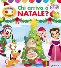 Chi arriva a natale ? scorri e scopri 