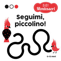 Seguimi piccolino 