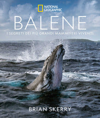 Balene 