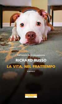 Vita nel frattempo 