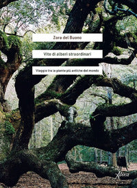 Vite di alberi straordinari - viaggio tra le piante piu' antiche del mondo 