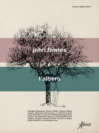 Albero 