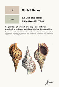 Vita che brilla sulla riva del mare - le piante e gli animali che popolano i litorali rocciosi 
