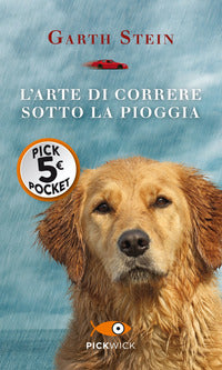 Arte di correre sotto la pioggia 