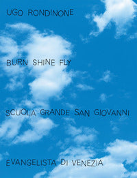 Ugo rondinone burn shine fly 