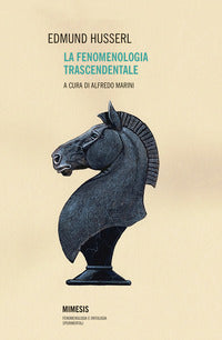 Fenomenologia trascendentale 