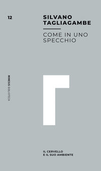 Come in uno specchio - il cervello e il suo ambiente 