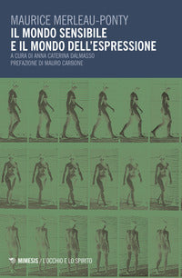 Mondo sensibile e il mondo dell'espressione 