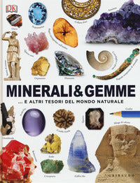 Minerali e gemme e altri tesori del mondo naturale 