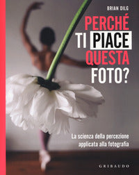 Perche' ti piace questa foto ? - la scienza della percezione applicata alla fotografia 