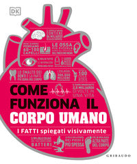 Come funziona il corpo umano - i fatti spiegati visivamente 