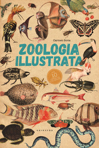 Zoologia illustrata - con 10 poster 