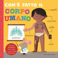 Com'e' fatto il corpo umano 