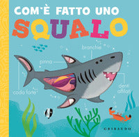 Com'e fatto uno squalo 