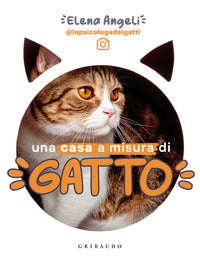 Casa a misura di gatto 