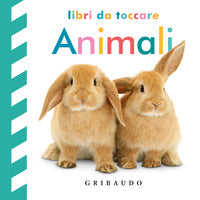 Animali - libri da toccare 