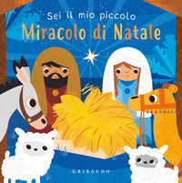 Sei il mio piccolo miracolo di natale 