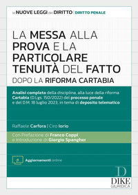 Messa alla prova e la particolare tenuita' del fatto dopo la riforma cartabia 