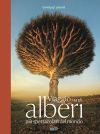 Viaggio tra gli alberi piu' spettacolari del mondo 
