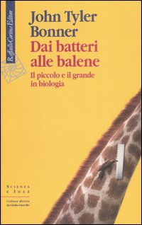 Dai batteri alle balene 