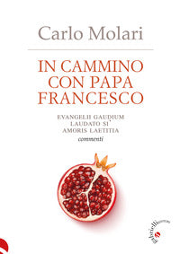 In cammino con papa francesco - evangelii gaudium laudato si' amoris laetitia 