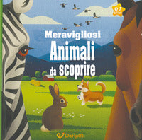Meravigliosi animali da scoprire 