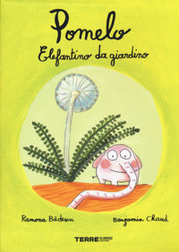 Pomelo elefantino da giardino 