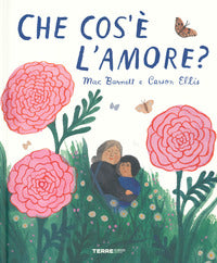 Che cos'e' l'amore ? 