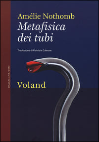 Metafisica dei tubi 